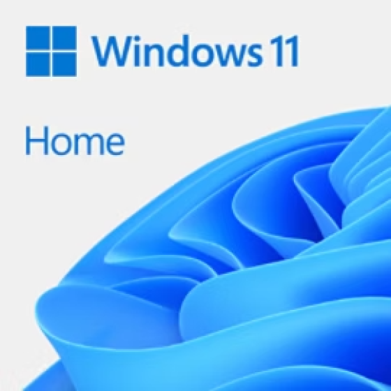 Microsoft Windows 11 Home - Retail Key