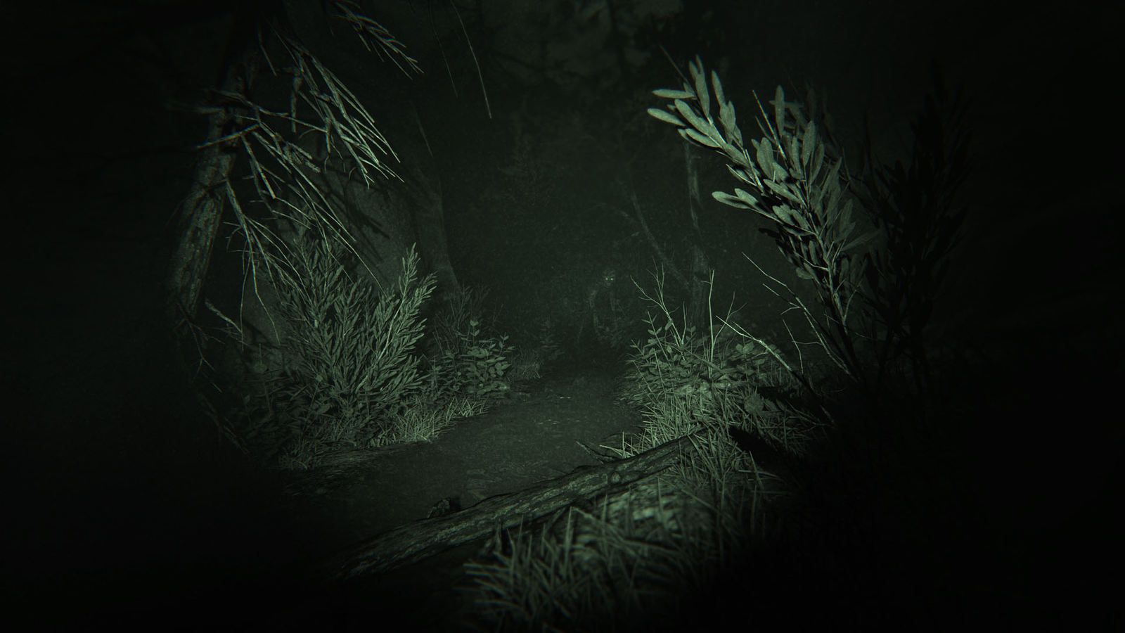 Outlast 2 (Steam Key) - Image 20