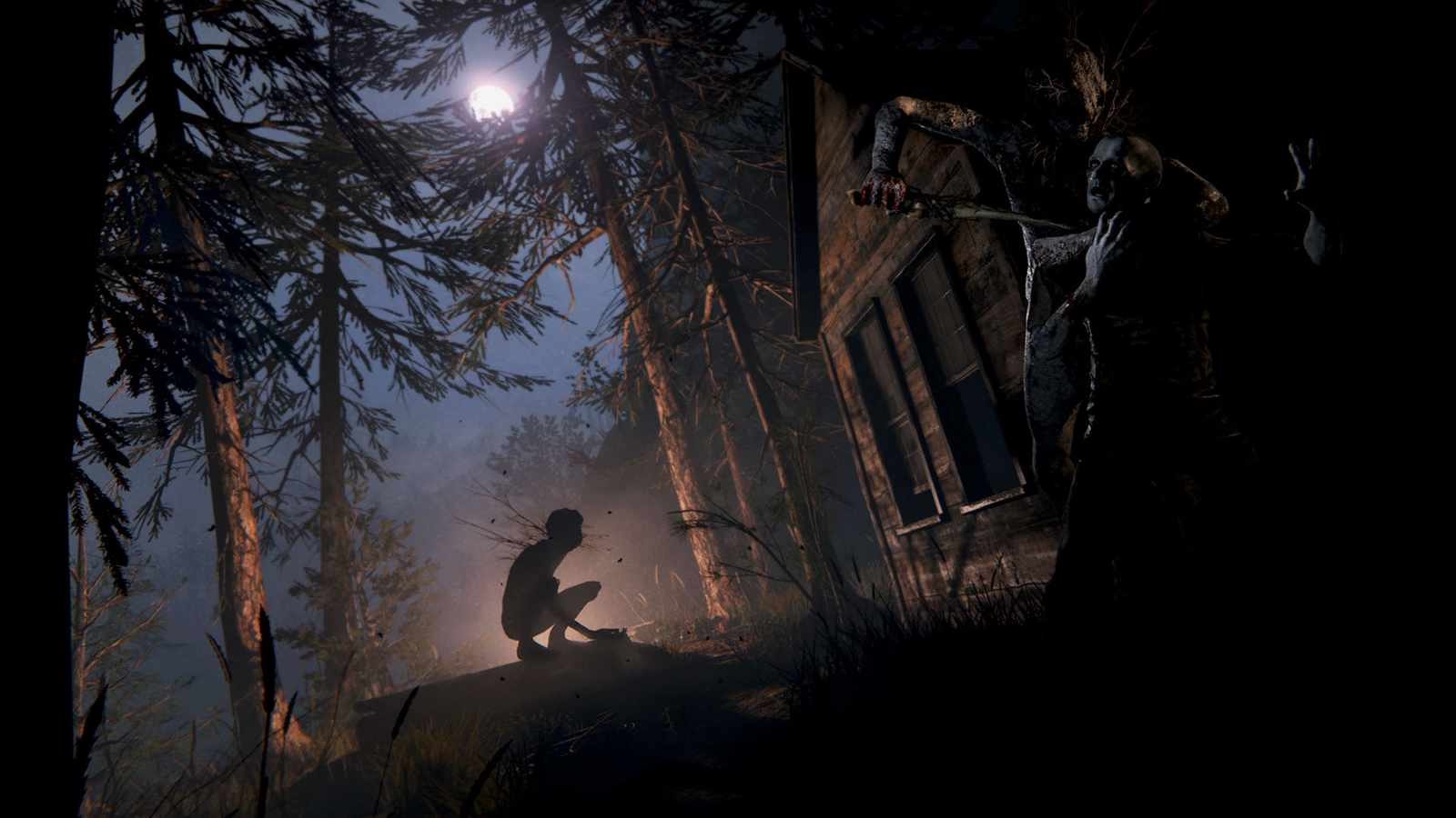Outlast 2 (Steam Key) - Image 11