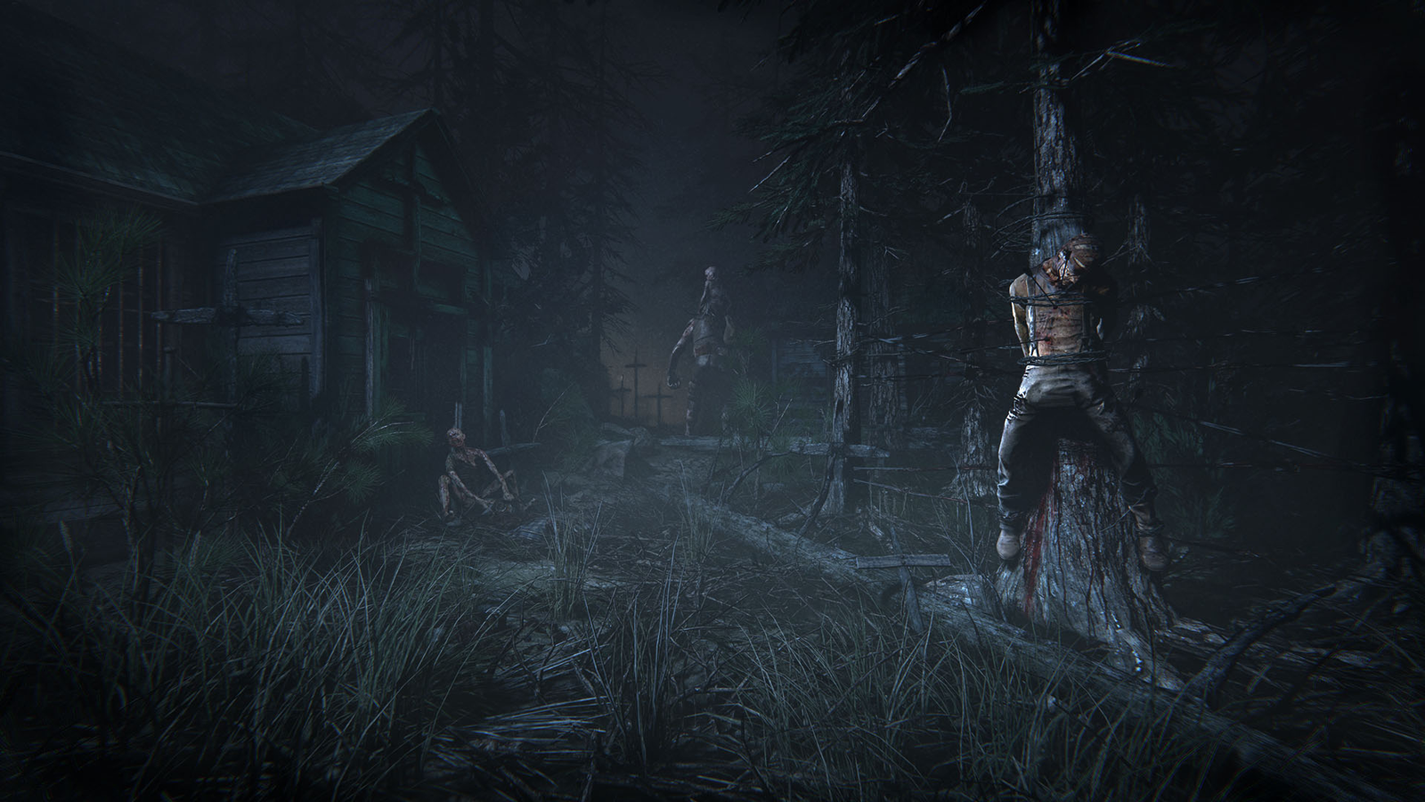 Outlast 2 (Steam Key) - Image 19